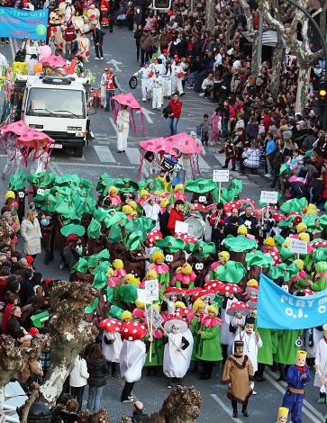 Fotos del Carnaval  de Logroo 2011-19